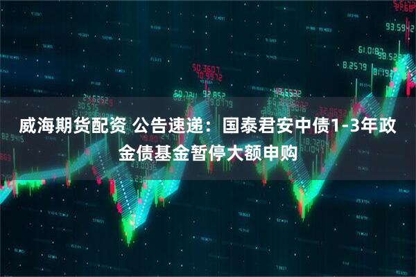 威海期货配资 公告速递：国泰君安中债1-3年政金债基金暂停大额申购