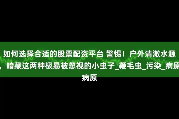 如何选择合适的股票配资平台 警惕！户外清澈水源，暗藏这两种极易被忽视的小虫子_鞭毛虫_污染_病原